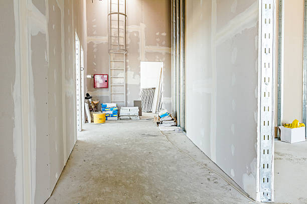 Professional Painting & Drywall Installation in Elk Grove Village, IL